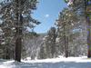Lot 24 A & B Taos Pines Ranch